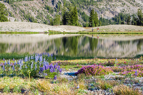 Deschutes National Forest