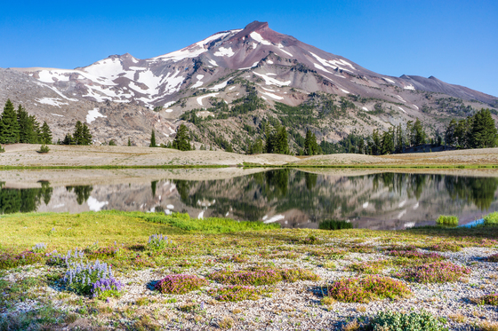 Deschutes National Forest