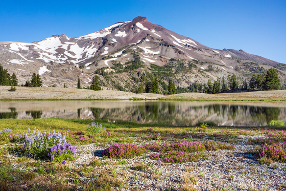 Deschutes National Forest