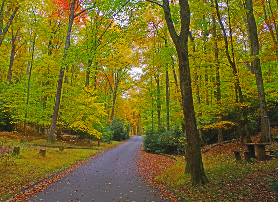 Price Lake Campground