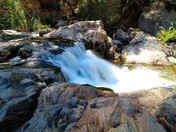 Sequoia National Park