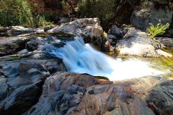 Sequoia National Park