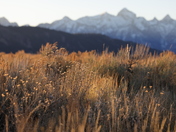 Grand Teton National Park