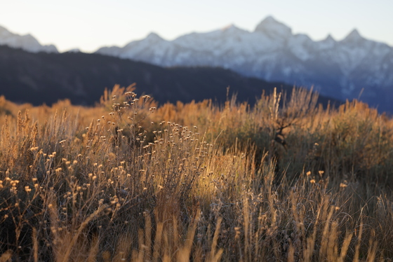 Grand Teton National Park