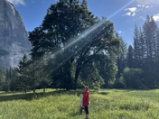 Yosemite National Park