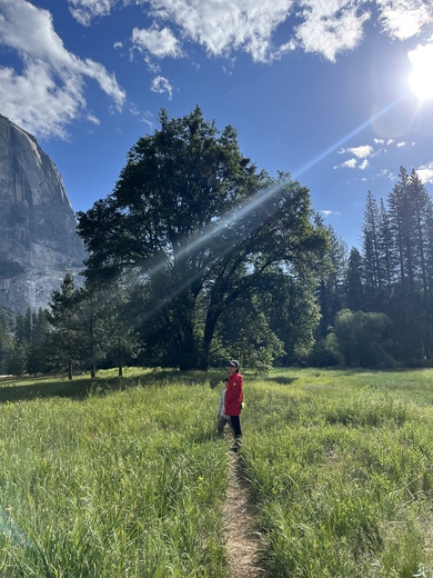 Yosemite National Park