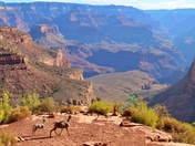Grand Canyon National Park