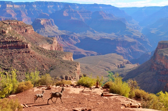 Grand Canyon National Park