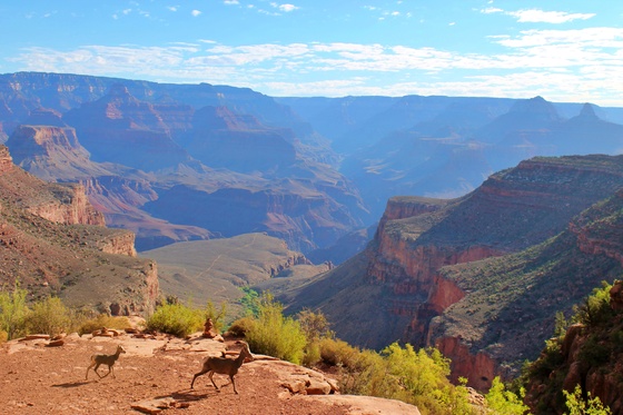 Grand Canyon National Park
