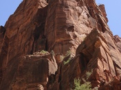Zion Canyon National Park