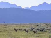 Grand Teton National Park