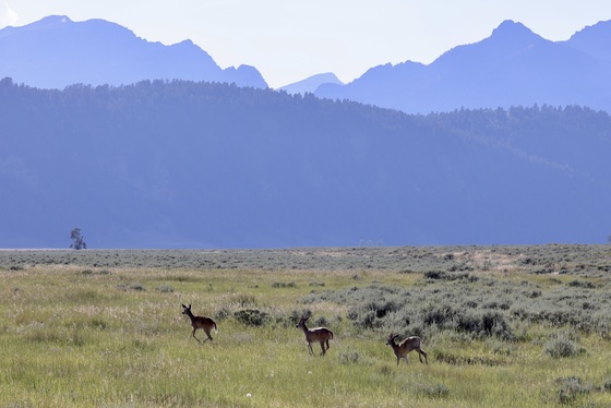 Grand Teton National Park