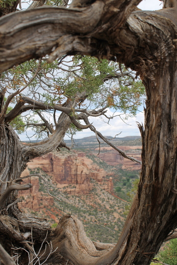 Colorado National Monument