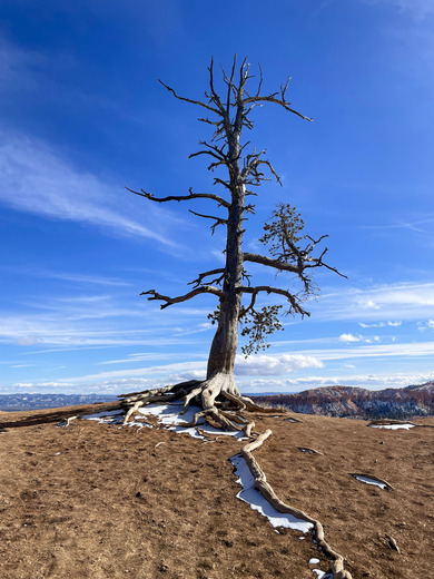 Bryce Canyon National Park