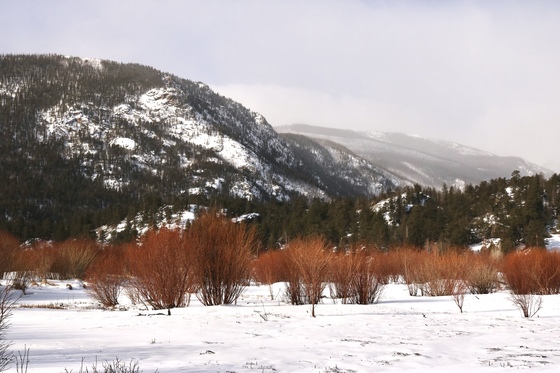 Rocky Mountain National Park