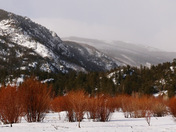 Rocky Mountain National Park