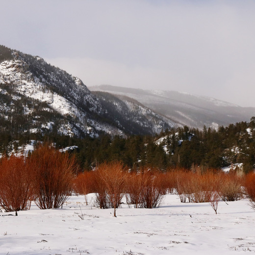 Rocky Mountain National Park