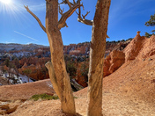 Bryce Canyon National Park