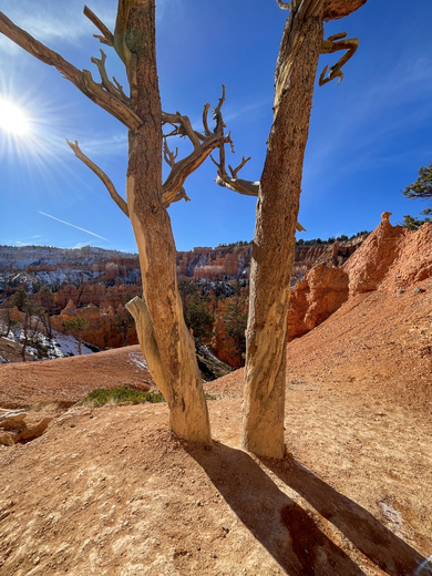 Bryce Canyon National Park