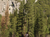 Yosemite National Park