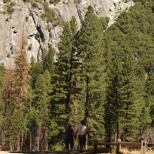 Yosemite National Park