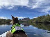 Salt River Canyon Wilderness Area