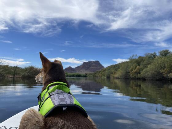 Salt River Canyon Wilderness Area