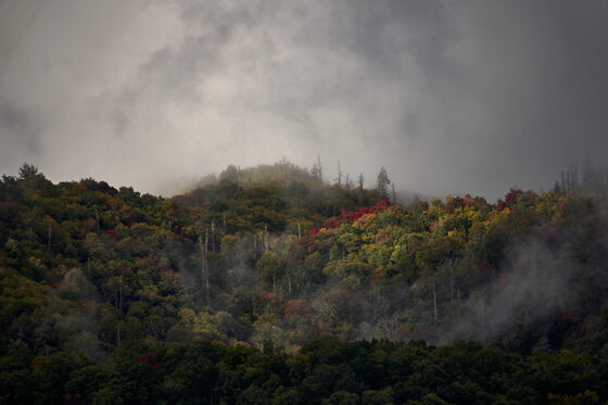Great Smoky Mountains National Park