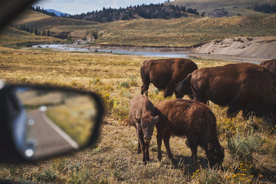 Yellowstone National Park