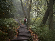 Great Smoky Mountains National Park