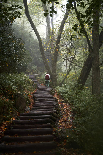 Great Smoky Mountains National Park