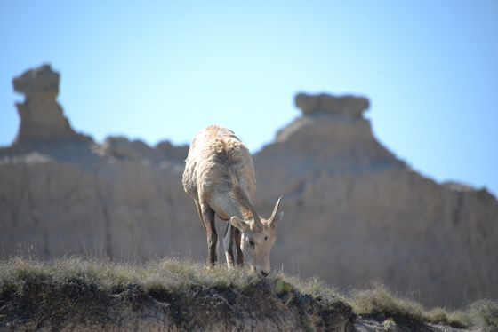Badlands National Park