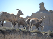 Badlands National Park