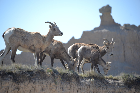 Badlands National Park