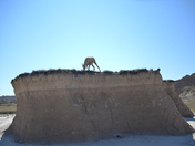 Badlands National Park