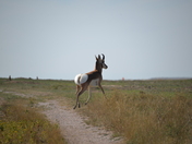 Badlands National Park