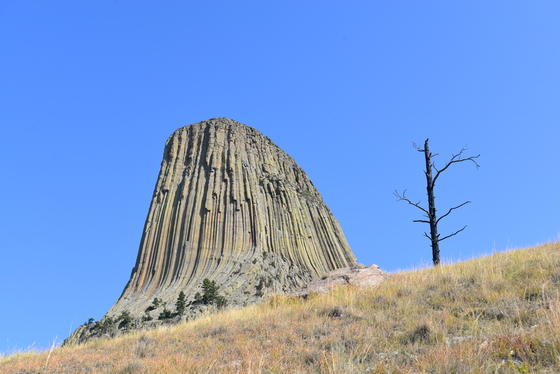 Devils Tower