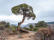 Black Canyon of the Gunnison National Park