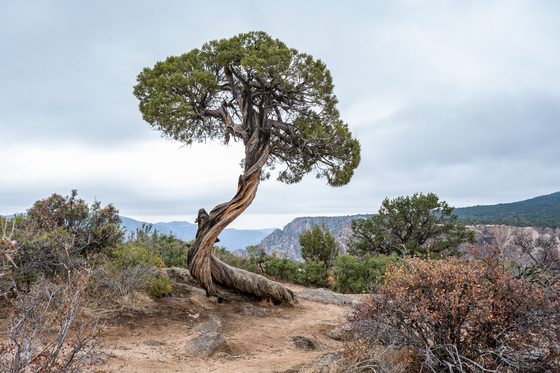 Black Canyon of the Gunnison National Park