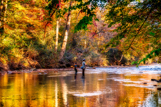 Pisgah National Forest