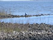Brazoria National Wildlife Refuge