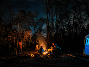 Pisgah National Forest