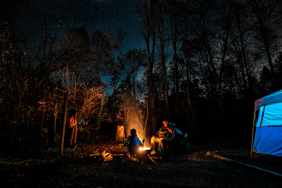 Pisgah National Forest