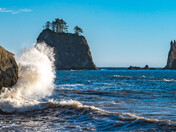 Olympic National Park 