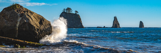 Olympic National Park 