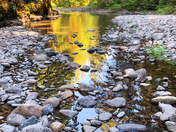 Willamette National Forest