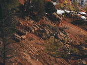 Bryce Canyon National Park