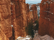 Bryce Canyon National Park