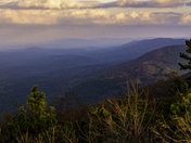 Ouachita National Forest