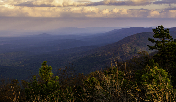Ouachita National Forest